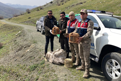 Keklik Avlayan 4 Kişiye 106 Bin 135 Lira Para Cezası