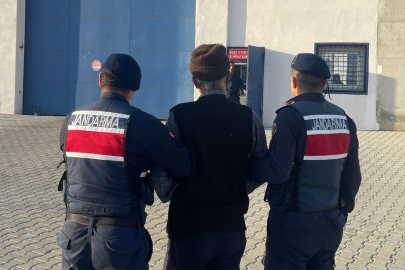 O Köpeklerin Sahibi Tutuklandı