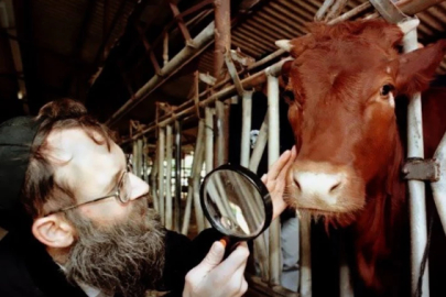 "Kızıl İnek" Kehaneti Yeniden Gündemde!