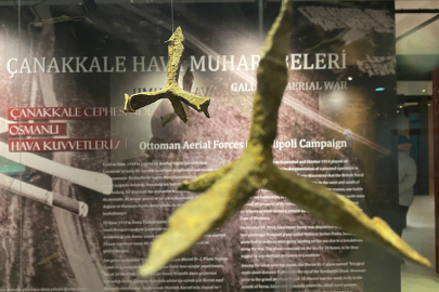 Çanakkale'deki Savaşın Acımasız Yüzü: 'Topuk Patlatanlar'