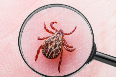 Kenelerin Hedefi: Bu Kan Grubuna Sahip Olanlar Dikkat!