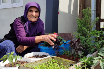 76 yaşındaki Eşe teyze, konteynerin önüne bahçe yaptı