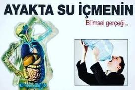 Ayakta Su İçmenin Bilinmeyen Zararları! Sağlığınızı Tehlikeye Atmayın