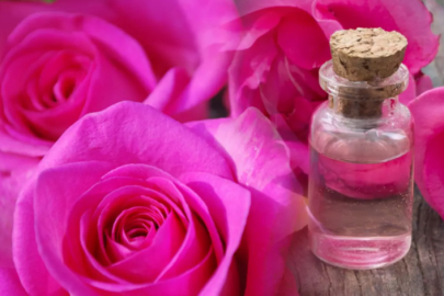 Gül Suyunun Faydaları: Güzellik İksiriyle Tanışın!