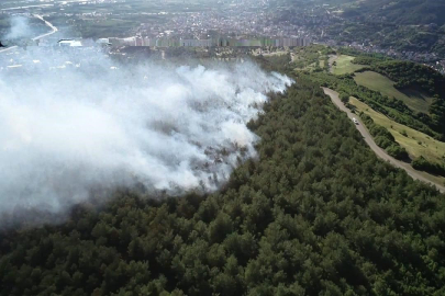 O Valilik Duyurdu: Ormanlara Giriş ve Her Türlü Bitki Örtüsü Yakılması Yasaklandı!