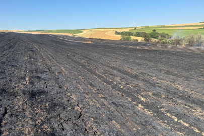 Tarlayı süren biçerdöverden kıvılcım çıktı ortalık alev aldı!