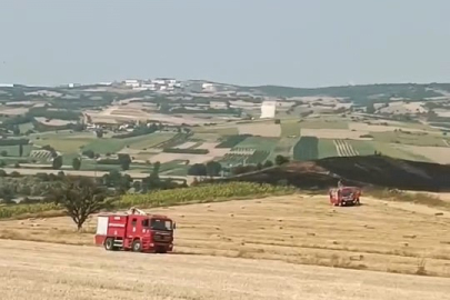 Bursa İnegöl'de Ekili Tarlalar Yandı