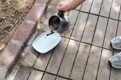 Rehabilitasyon Merkezi'nde Hayvanlara Bakılmıyor İddiası