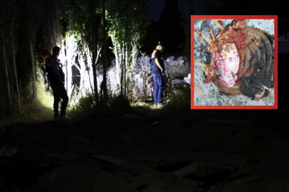 Kiracısına Büyü Yaptırdı!