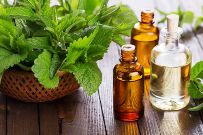 Baş Ağrısına, Sindirime ve Daha Fazlasına: Nane Yağı Faydaları
