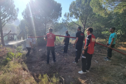 Yalova’daki yangınlar ile ilgili savcılık soruşturma başlattı