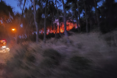  Heybeliada Alev Alev