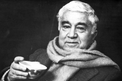 Aziz Nesin'in Fikirleri:Toplumsal Eleştirisi