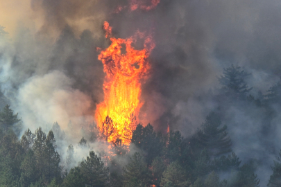 Karabük yangınına çevre illerden TOMA ve su tankeri takviyesi