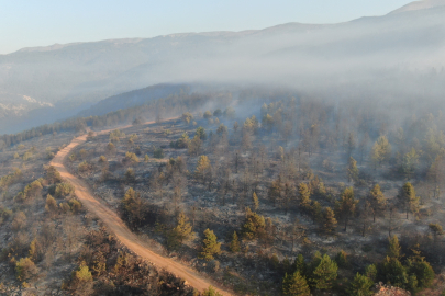 Çankırı’daki orman yangınında 44,17 hektar alan zarar gördü