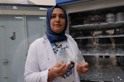 Tarım toprağına D vitamini desteği