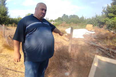 Bozyörük yılanının saldırısına uğradı