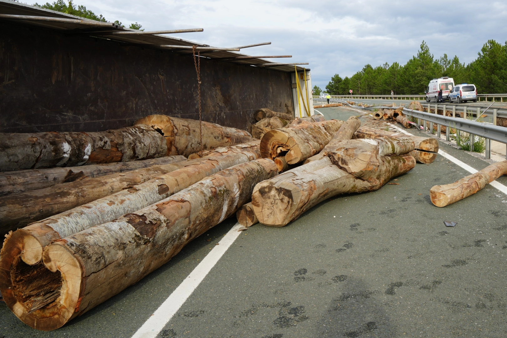 Tomruk yüklü tır virajı alamayarak devrildi