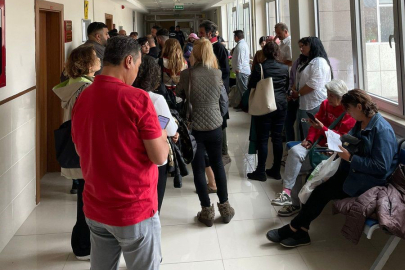 Yavru köpeği öldüren sanık hakim karşısında