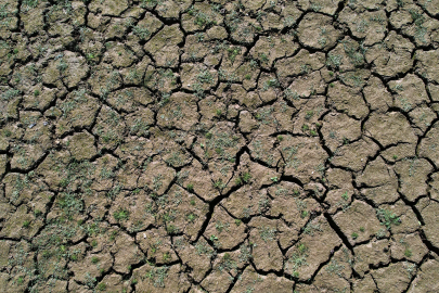 Dünyanın Armut Bahçesi Kuraklıkla Karşı Karşıya