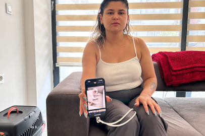 "Pamuk'u bulana 2 bin TL ödülümüz var"