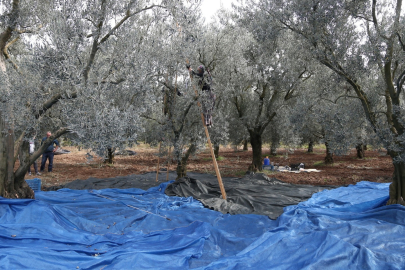 Malı Ucuza Almanın Peşindeler