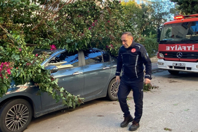 Sabah Kalkınca Şok Oldu!