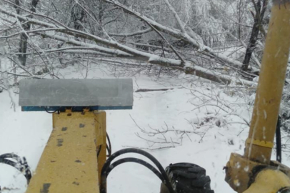 Kar ve Fırtına, Kestane Ağacını Devirdi