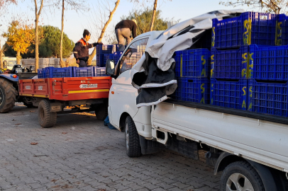 Zeytin Üreticileri Ürünlerini Satmak İçin 2 Gün Sıra Bekliyor