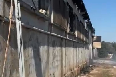 Tavuk Çiftliğinde Yangın: Binlerce Civcivin Telef Oldu