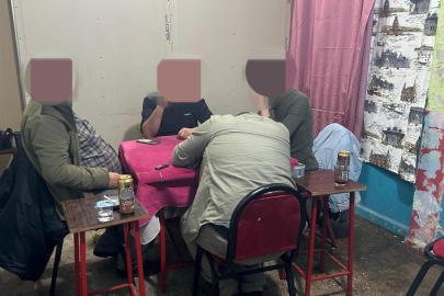 Gizli Bölmede Kumar