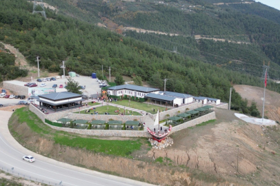 Binlerce Sokak Hayvanına Yuva, Sayısız Derde Deva Oldu