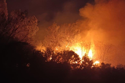 Sazlık Alanda Korkutan Yangın