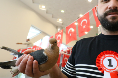 Araba Değerindeki Güvercinler Antalya’da Kıyasıya Yarıştı