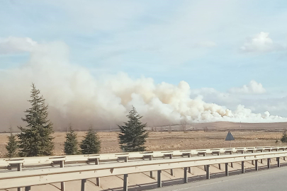 Mısır Tarlasında Çıkan Yangın Paniğe Neden Oldu