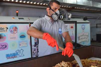 Can Dostları İçin 50 Ton Mama Üretildi