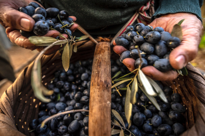 Gemlik Belediyesi Fotoğraf Maratonu
