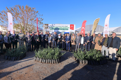 “Derik Halhali Zeytini Anavatanına Geri Dönüyor Projesi"