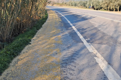 Çuvallardan Dökülen Soya Fasulyeleri Kilometrelerce Yola Saçıldı