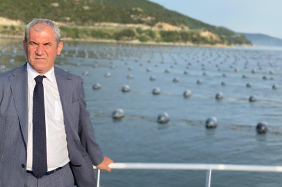 Türkiye'de Yıllık 8 Bin Tonun Üzerinde Çiftlik Midyesi Üretiliyor