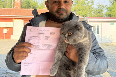 2024’te 693 Sokak Hayvanı Sahiplendirildi