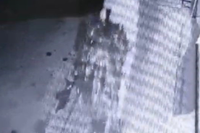 Pes Artık: İş Yeri Önündeki Çam Ağacını Çaldı