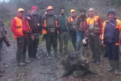 Yaban Domuzunun Saldırısına Uğradı