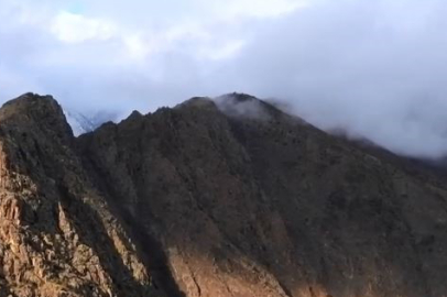 Kaçak Avcılar Cezadan Kaçamadı