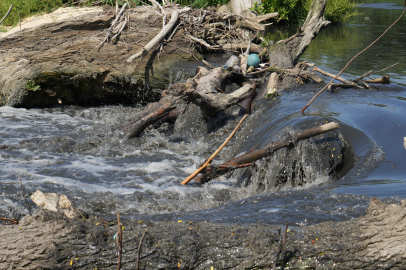 Zehir Akan Çayın Marmara Denizi’nde Müsilajı Tetiklediği Ortaya Çıktı