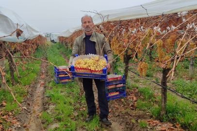 "Dalında ne kadar fazla kalırsa o kadar değerli" 