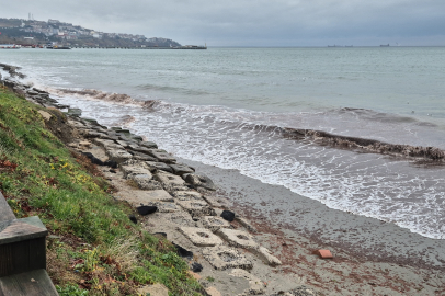 Kızıl Yosunlar Kıyıya Sürüklendi