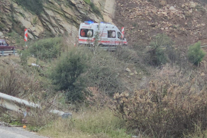 Zeytin Toplamaya Giderken Ölümden Döndü