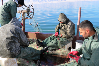 Van'da bilinçli avlanma ve denetimler meyvelerini vermeye başladı