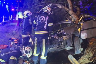 Sürücüsünün direksiyon hâkimiyetini kaybettiği araç ağaca çarparak durabildi: 2 ölü, 1 yaralı